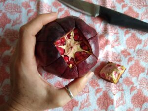 2.Retirar a coroa e cortar a casca pela membrana.