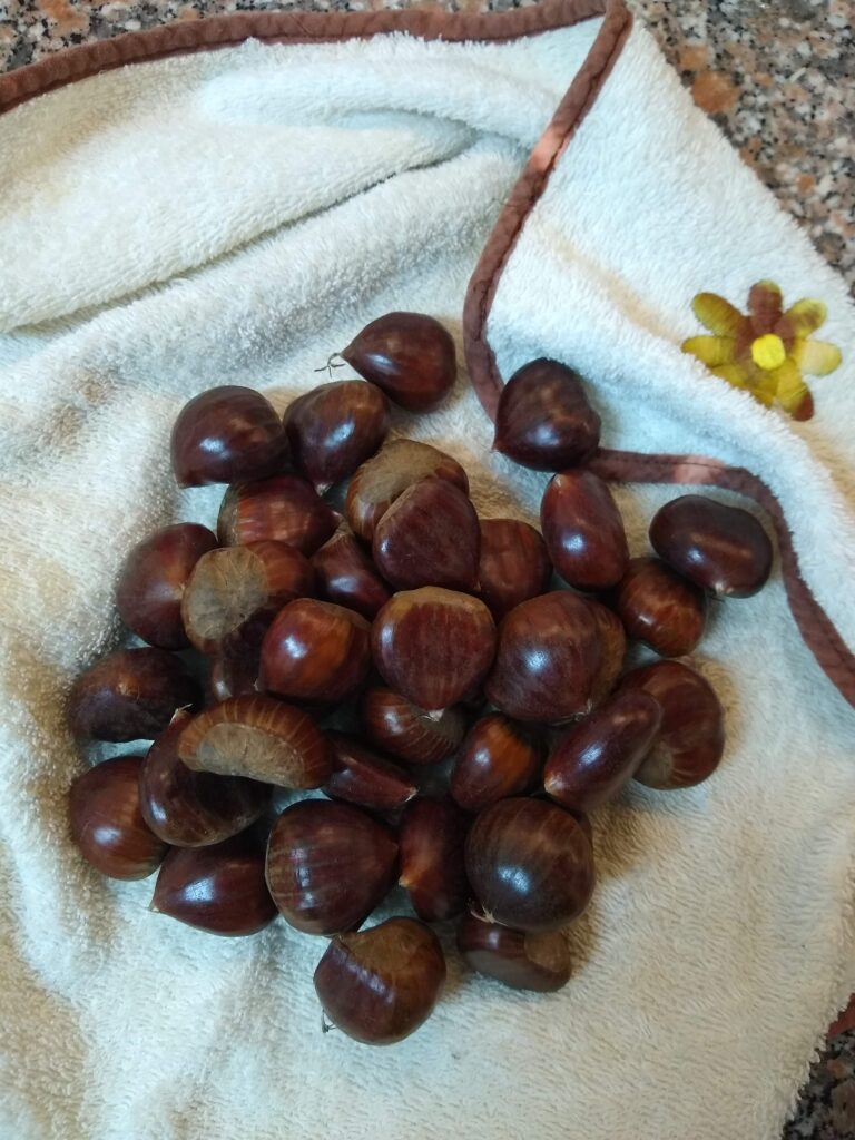 Castanhas para retalhar